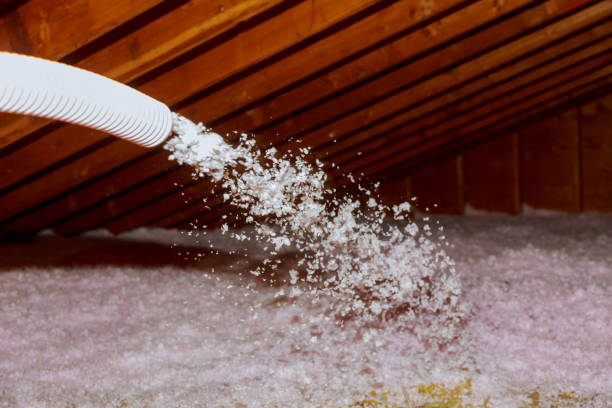 Best Geographic-Specific Insulation Services in Robins, IA