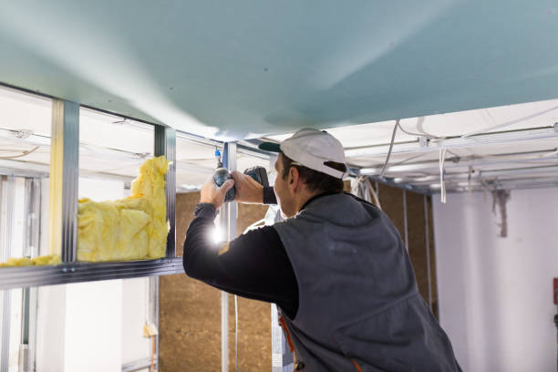 Best Eco-Friendly Insulation in Robins, IA