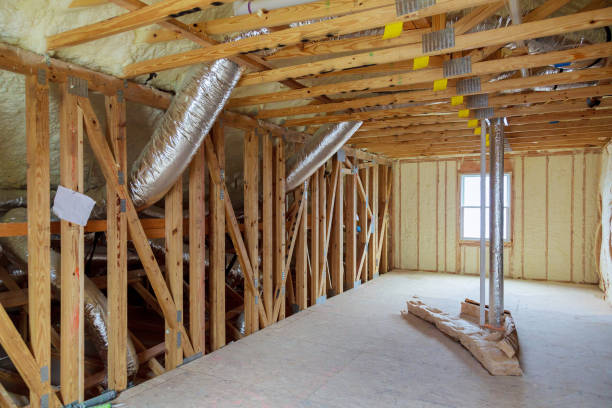 Best Eco-Friendly Insulation in Robins, IA