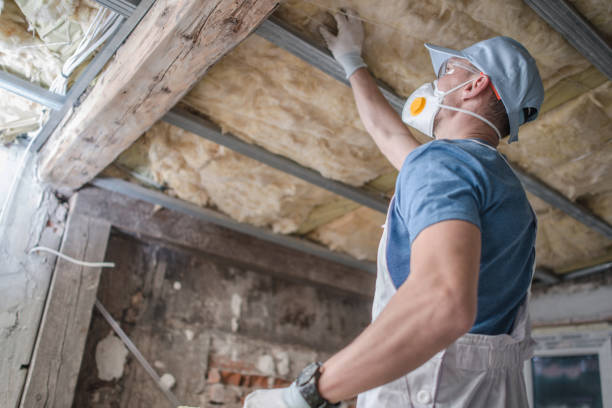 Best Cellulose Insulation in Robins, IA
