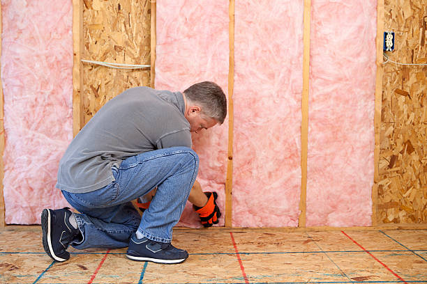 Best DIY Insulation Kits and Guidance in Robins, IA