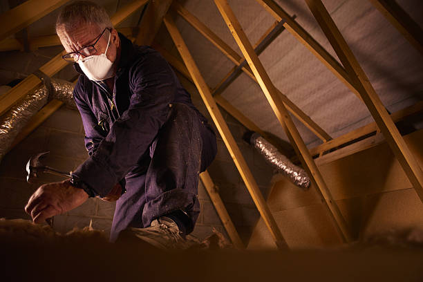 Best Spray Foam Insulation in Robins, IA